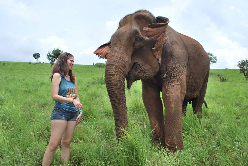 En una reserva de elefantes en Cambodia